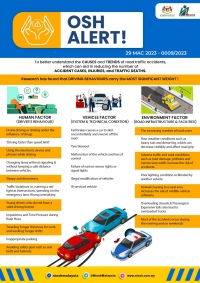 Similar Patterns in Road Traffic Accidents - Causes and Trends of Road Accident